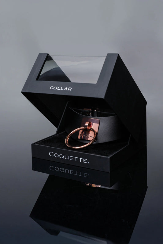 Vegan Leather Collar (Black)